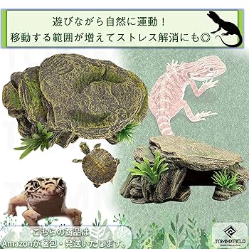 新品 爬虫類 ケージ ヘビ リクガメ トカゲ ハリネズミ カメ オーダー品 新品 爬虫類 ケージ ヘビ リクガメ トカゲ ハリネズミ カメ